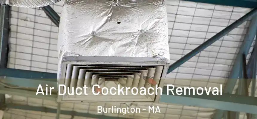 Air Duct Cockroach Removal Burlington - MA