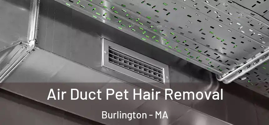 Air Duct Pet Hair Removal Burlington - MA