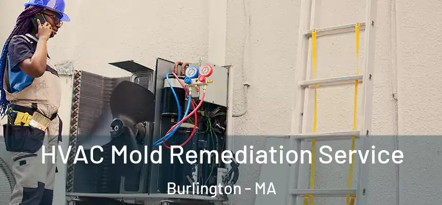  HVAC Mold Remediation Service Burlington - MA