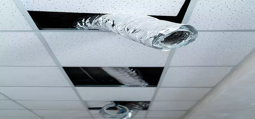 Our Air Duct Pet Hair Removal Services in Burlington, MA