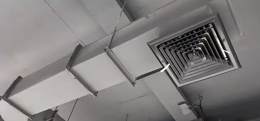 Our Pest Removal From Ducts Services in Burlington, MA