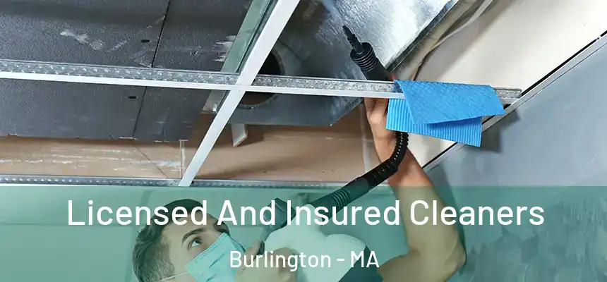  Licensed And Insured Cleaners Burlington - MA