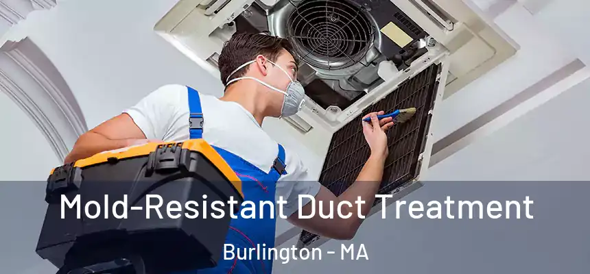 Mold-Resistant Duct Treatment Burlington - MA