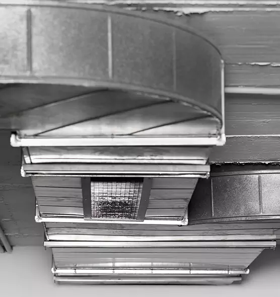 Professional Air Duct Pet Hair Removal in Burlington, MA