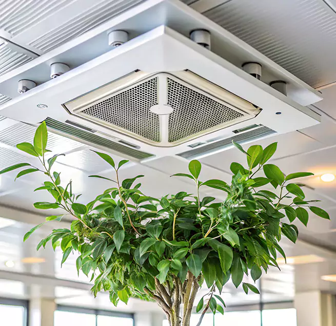 Why Homeowners & Businesses Trust Us in Burlington, MA