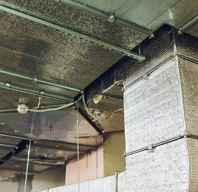 Why Homeowners & Businesses Trust Us in Burlington, MA?